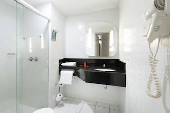 Ibis Teresina