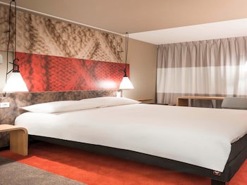 Ibis Teresina