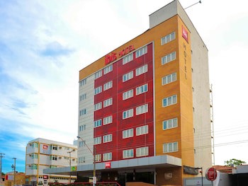 Ibis Teresina