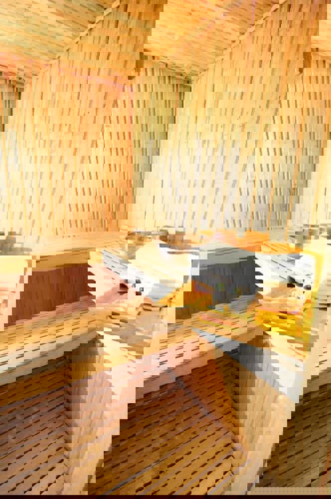 Diego De Almagro Calama