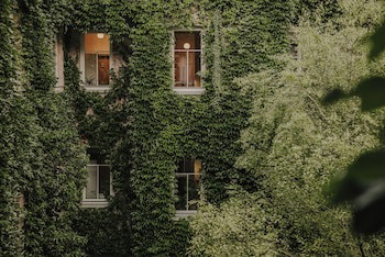 Boutiquehotel Stadthalle