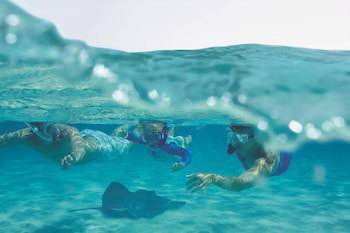 The Ritz-Carlton, Grand Cayman