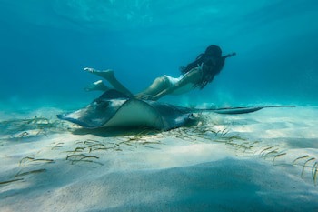 The Ritz-Carlton, Grand Cayman