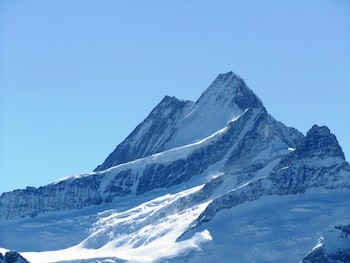 Hotel Alpenhof