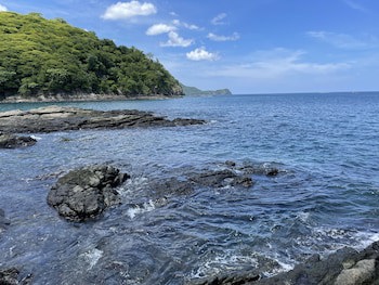 Bahia Pez Vela Resort
