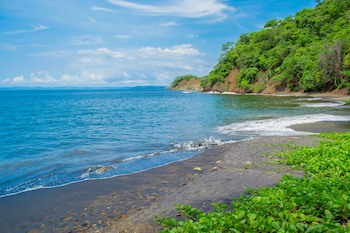 Bahia Pez Vela Resort
