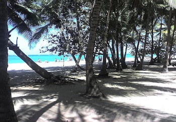 Acacia Boutique Hotel