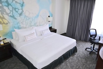 Courtyard By Marriott San Luis Potosi