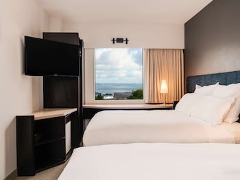 Ibis Rotorua