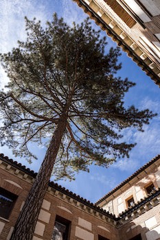Parador De Avila (Adults Only)