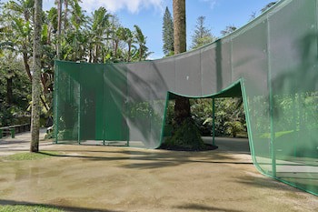 Terra Nostra Garden Hotel