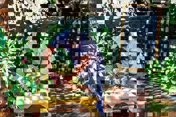 4Reasons Hotel And Bistro