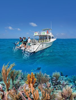 Compass Point Dive Resort