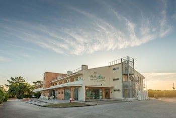 Amazonia Palmela