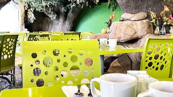 Aranzazu Eco, Guadalajara