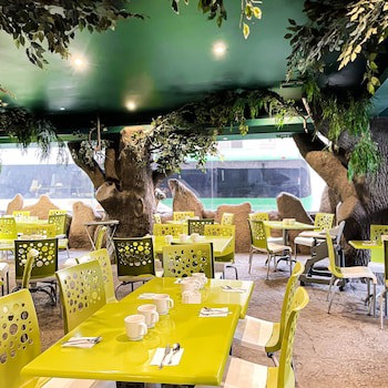 Aranzazu Eco, Guadalajara