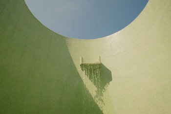 Condesa Df, Mexico City, A Member Of Design Hotels