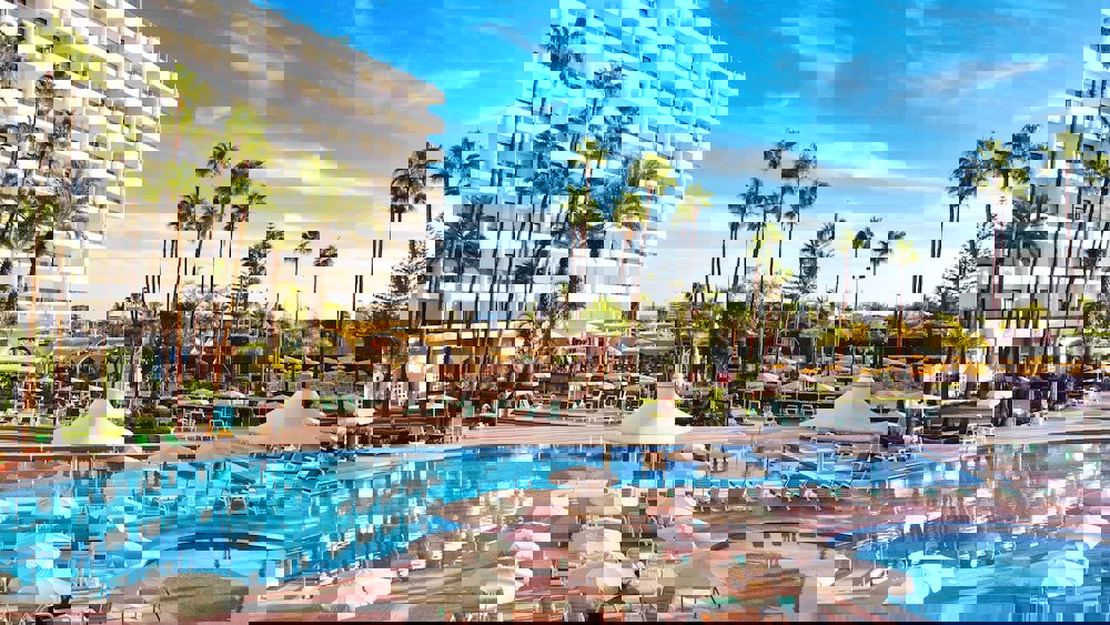 Bull Eugenia Victoria & Spa