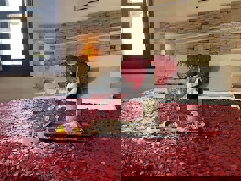 Aspen Hotel - Special Class