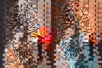 Aspen Hotel - Special Class