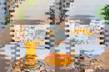 Aspen Hotel - Special Class