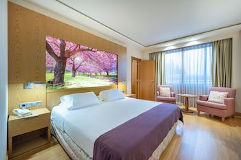 Hotel Nelva