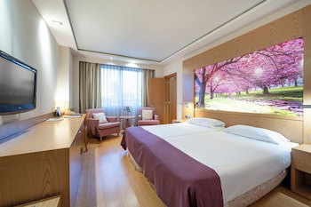 Hotel Nelva