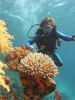Swiss Inn Resort Dahab