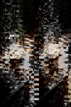 Alp Pasa Hotel - Special Class