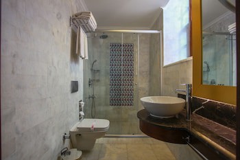 Alp Pasa Hotel - Special Class