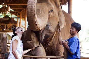 Anantara Golden Triangle Elephant Camp & Resort