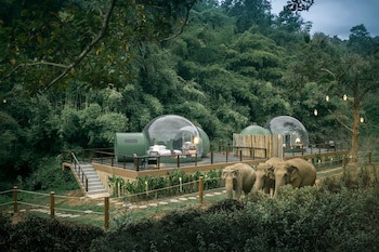 Anantara Golden Triangle Elephant Camp & Resort