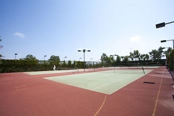 Tennis court