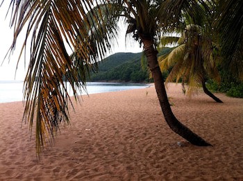 Habitation Grande Anse