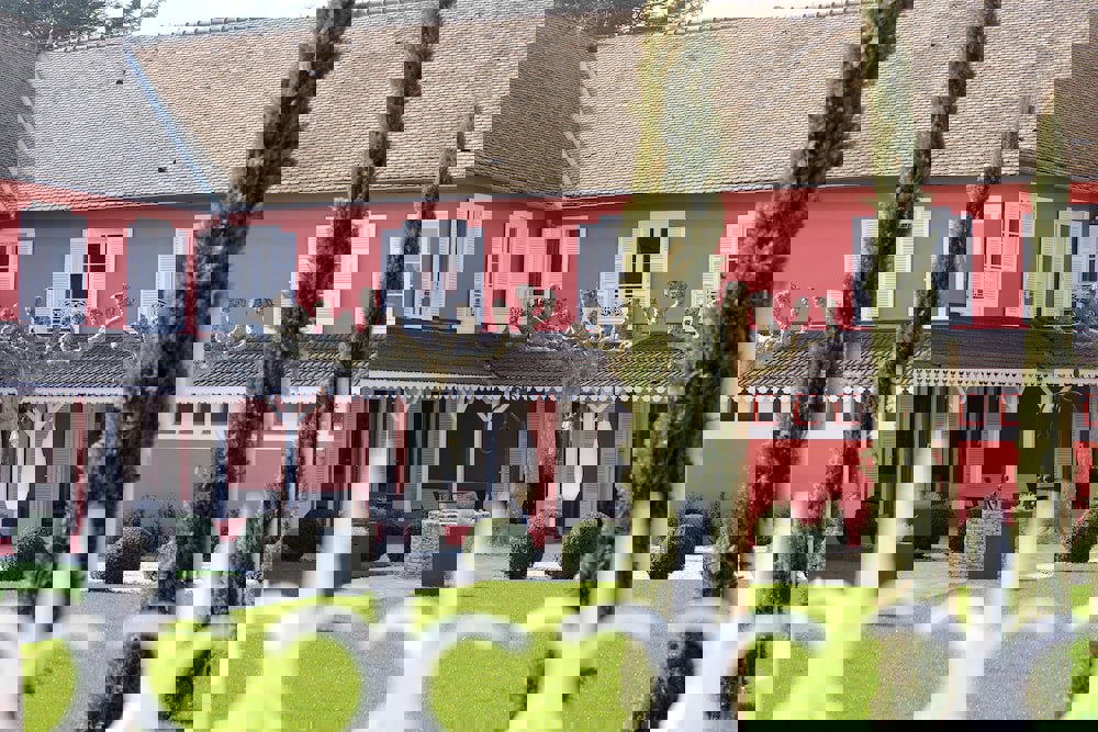 Les Maritonnes Park & Vineyard