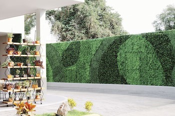 Aurea Hotel & Suites