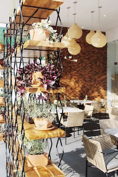 Aurea Hotel & Suites