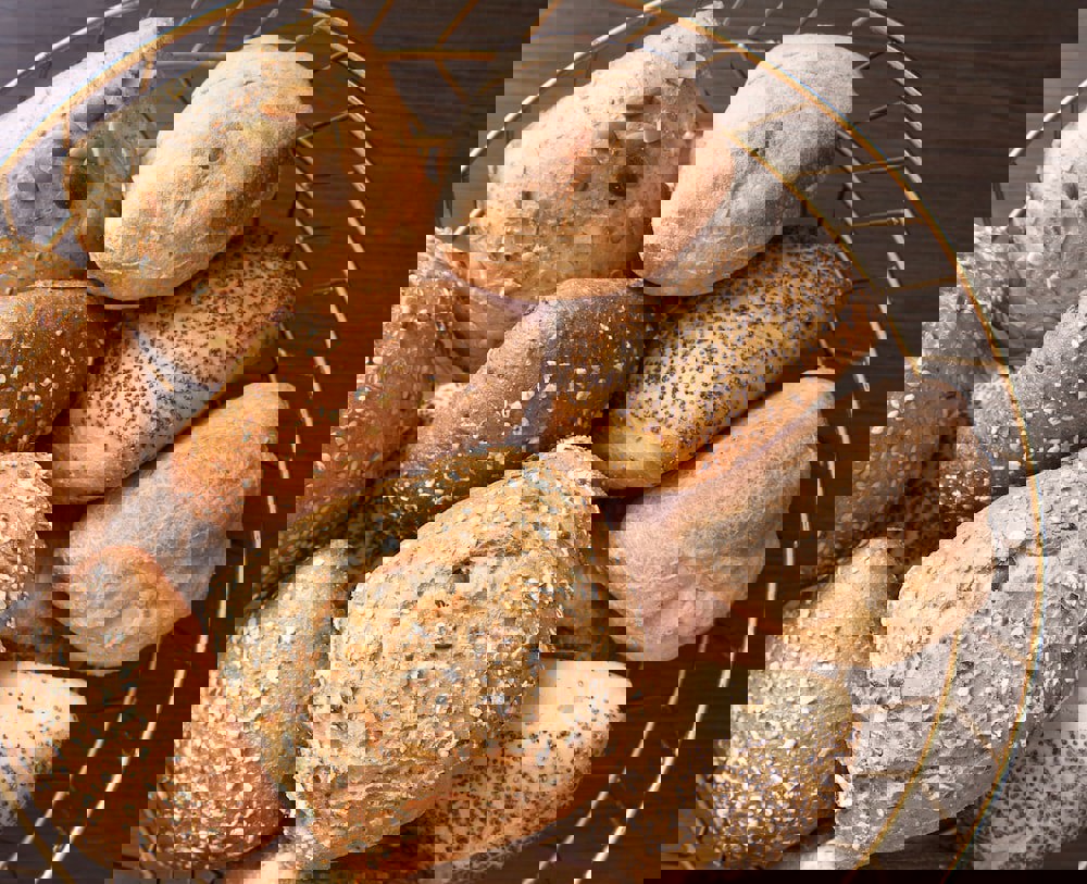 Four Points Flex by Sheraton Ishøj