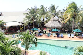 Coco Palm