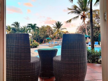 Coco Palm