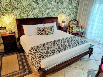 Coco Palm