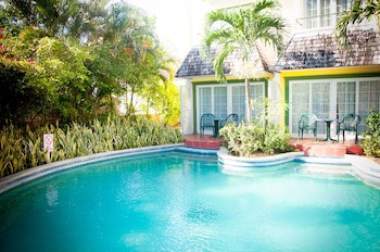 Coco Palm