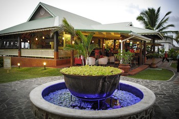 Coco Palm