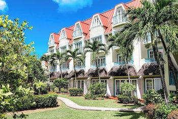 Coco Palm