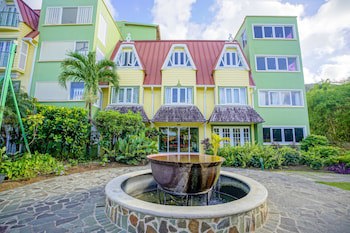 Coco Palm