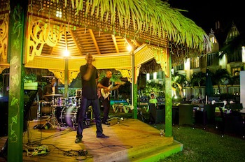 Coco Palm