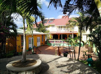 Coco Palm