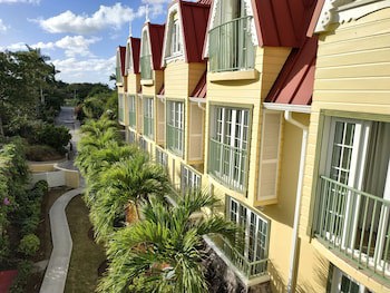 Coco Palm