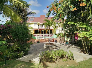 Coco Palm