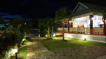 Coco Palm